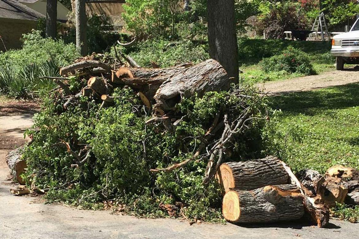 Yard Debris Removal